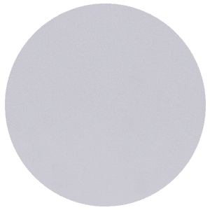 Lens - Grey Tint - CHEETERZ CLUB
