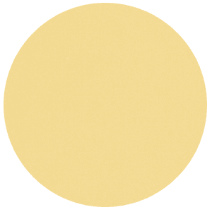 Lens - Orange Tint - CHEETERZ CLUB