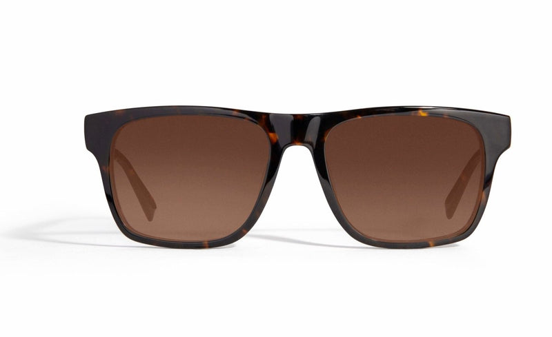 Image of Cheeterz Club eyewear. Photo of square sunglasses with brown tinted lenses. The frames are wide width with espresso and golden brown color. Suitable for round, oval, and square face shapes. 