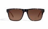 Image of Cheeterz Club eyewear. Photo of square sunglasses with brown tinted lenses. The frames are wide width with gray and black color. Suitable for round, oval, and square face shapes.