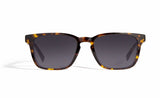  Image of Cheeterz Club eyewear. Photo of retro rectangle eyeglasses with gray tinted lenses. The frames are wide width with mahogany and golden brown color. Suitable for round, oval, and square face shapes. 