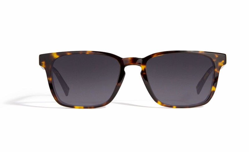  Image of Cheeterz Club eyewear. Photo of retro rectangle eyeglasses with gray tinted lenses. The frames are wide width with mahogany and golden brown color. Suitable for round, oval, and square face shapes. 