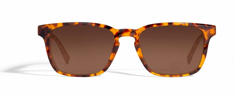 Image of Cheeterz Club eyewear. Photo of retro rectangle eyeglasses with brown tinted lenses. The frames are wide width with honey, golden brown, and dark brown  color. Suitable for round, oval, and square face shapes. 