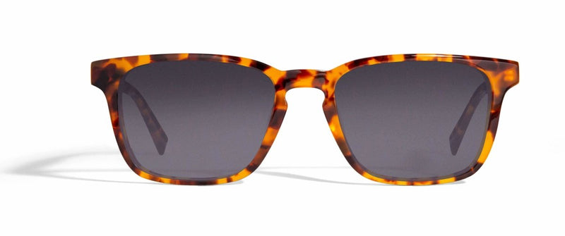 Image of Cheeterz Club eyewear. Photo of retro rectangle eyeglasses with gray tinted lenses. The frames are wide width with honey, golden brown, and dark brown  color. Suitable for round, oval, and square face shapes. 